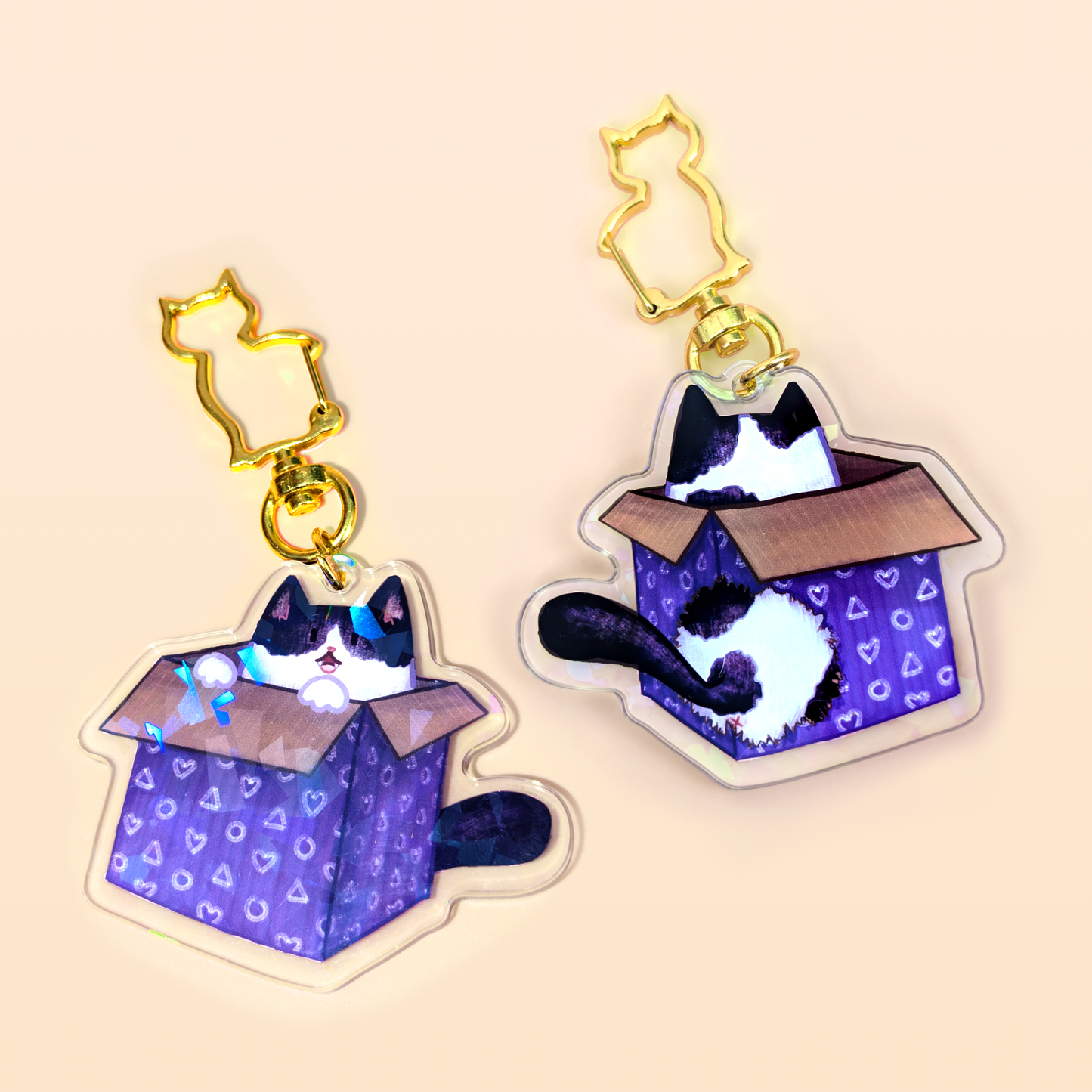Box Cat Keyring