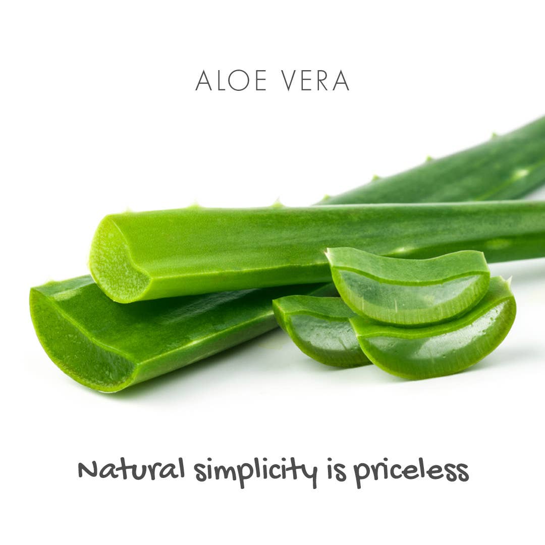Friendly Soap - Aloe Vera Eco Friendly Soap Bar