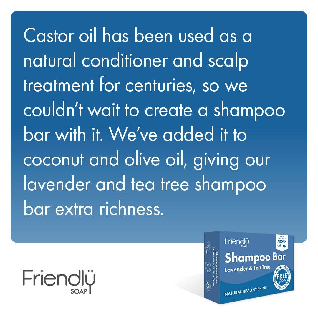 Friendly Soap - Lavender & Tea Tree Shampoo Bar - Eco Friendly