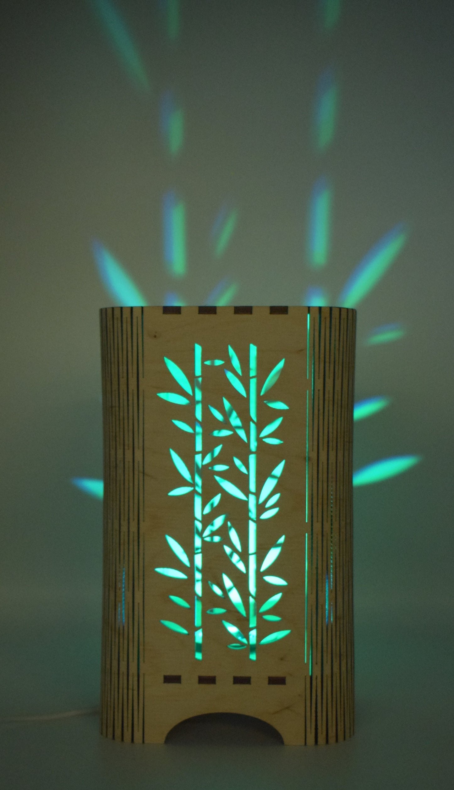LED RGB decorative wooden lamp Bamboo