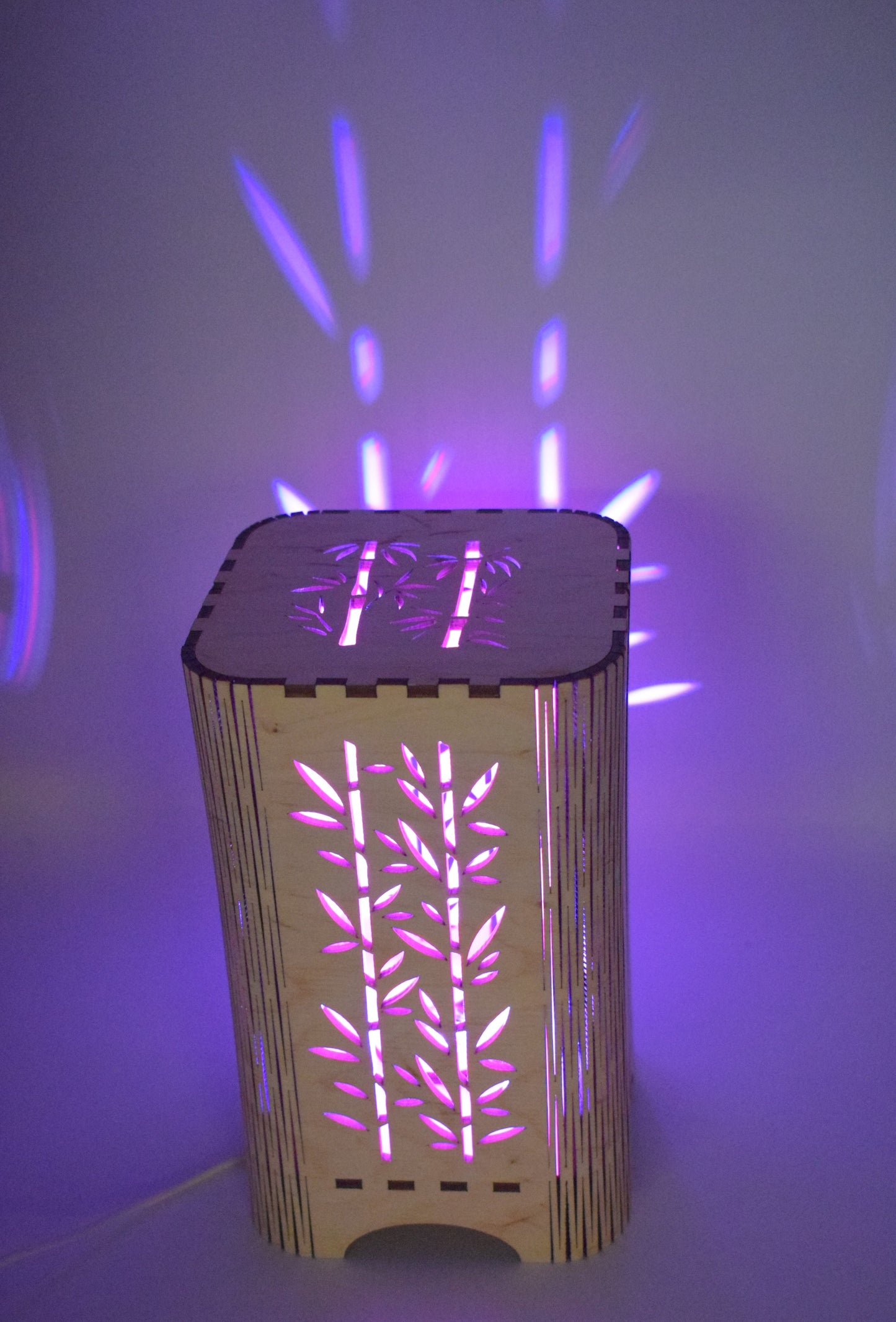 LED RGB decorative wooden lamp Bamboo