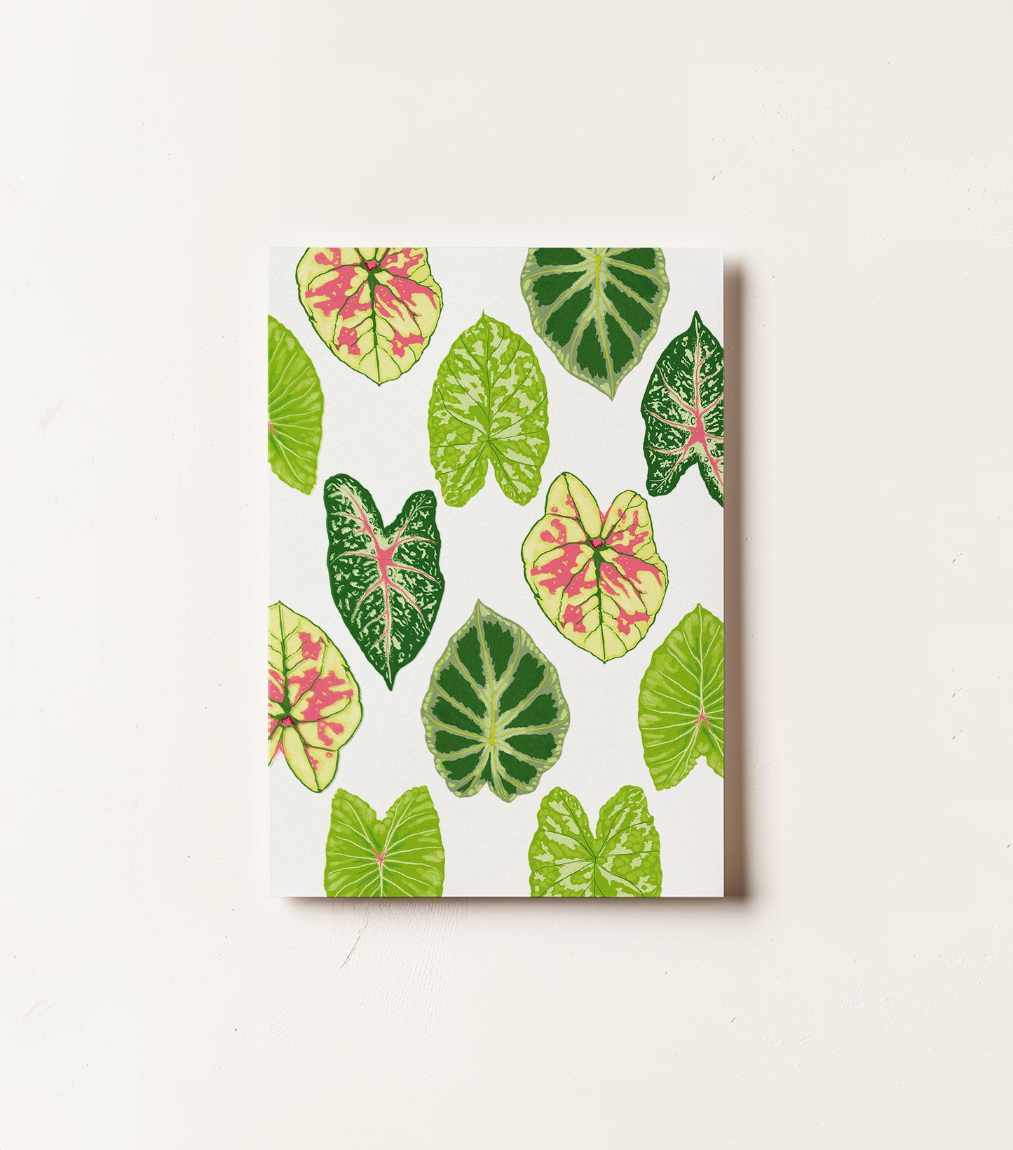 La Plante Carnivore Greeting Cards