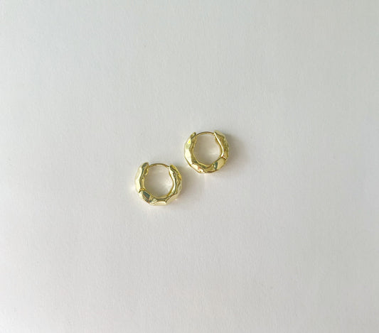 PRJ1013-Small Waves Hoops