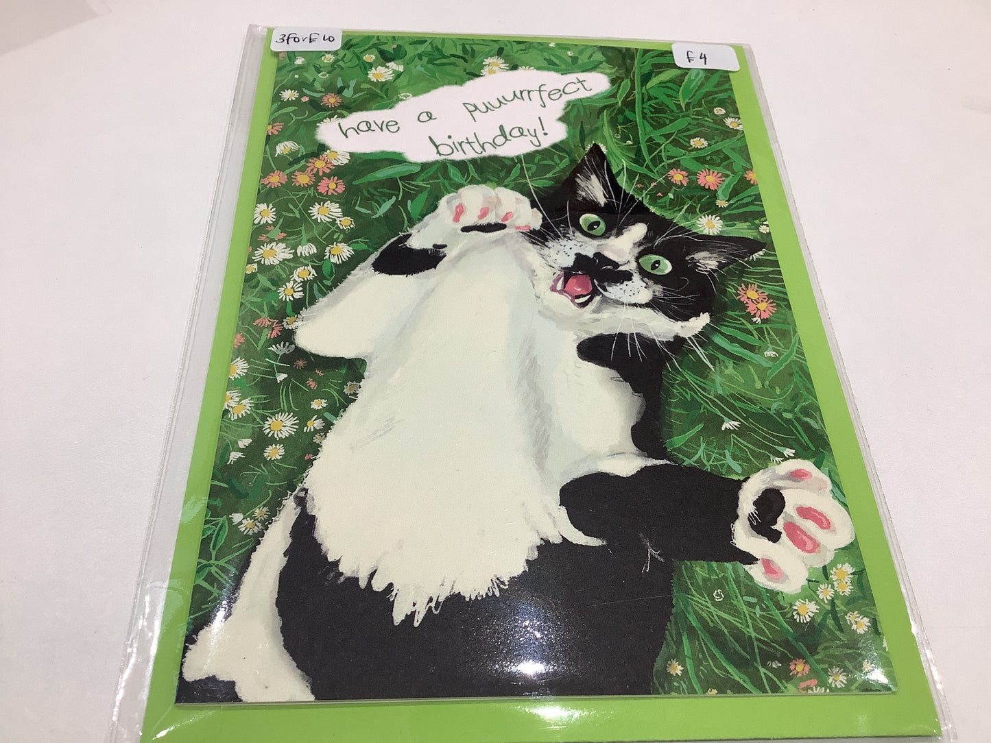 La Plante Carnivore Greeting Cards