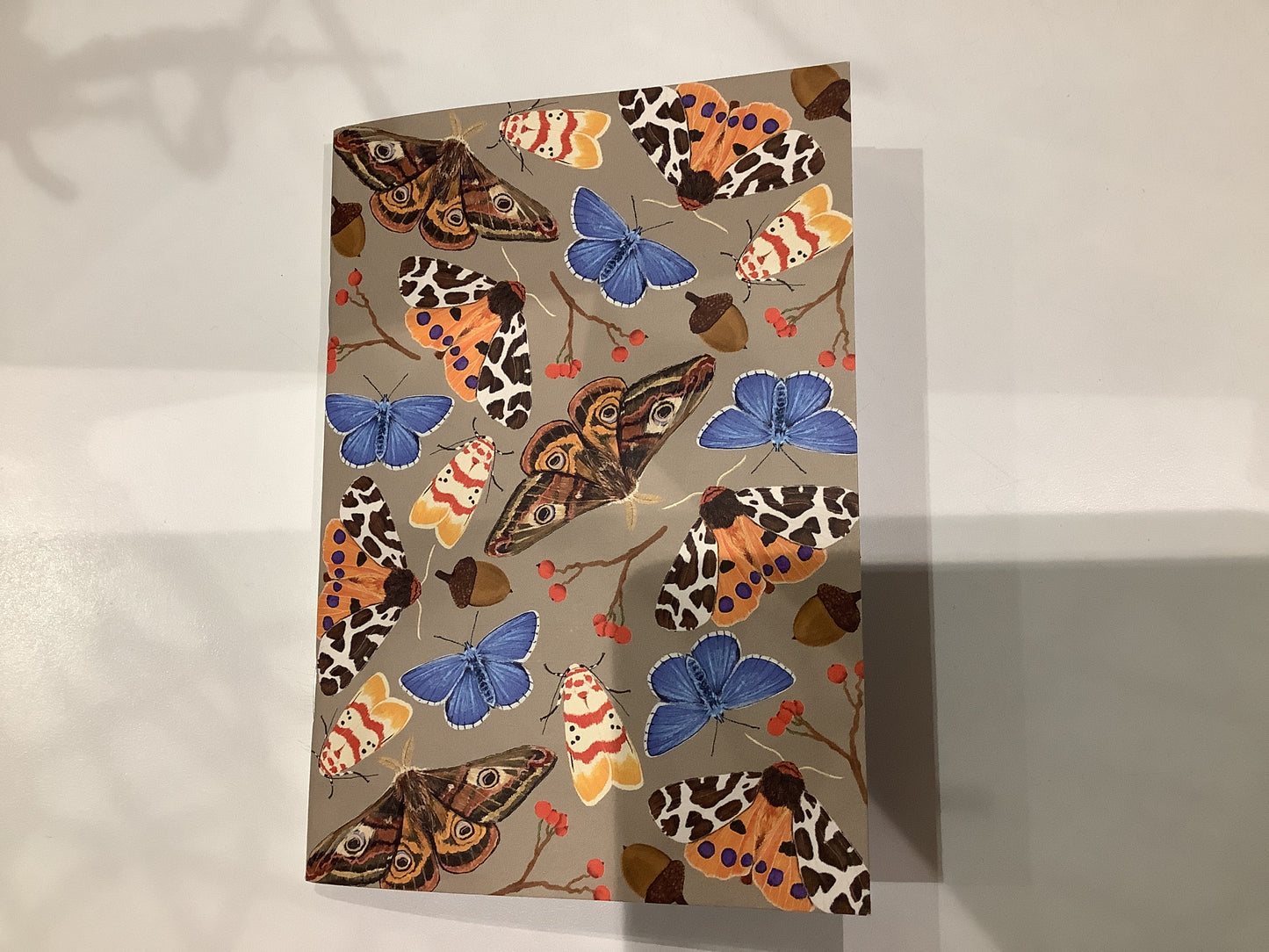 La Plante Carnivore Pocket Notebooks