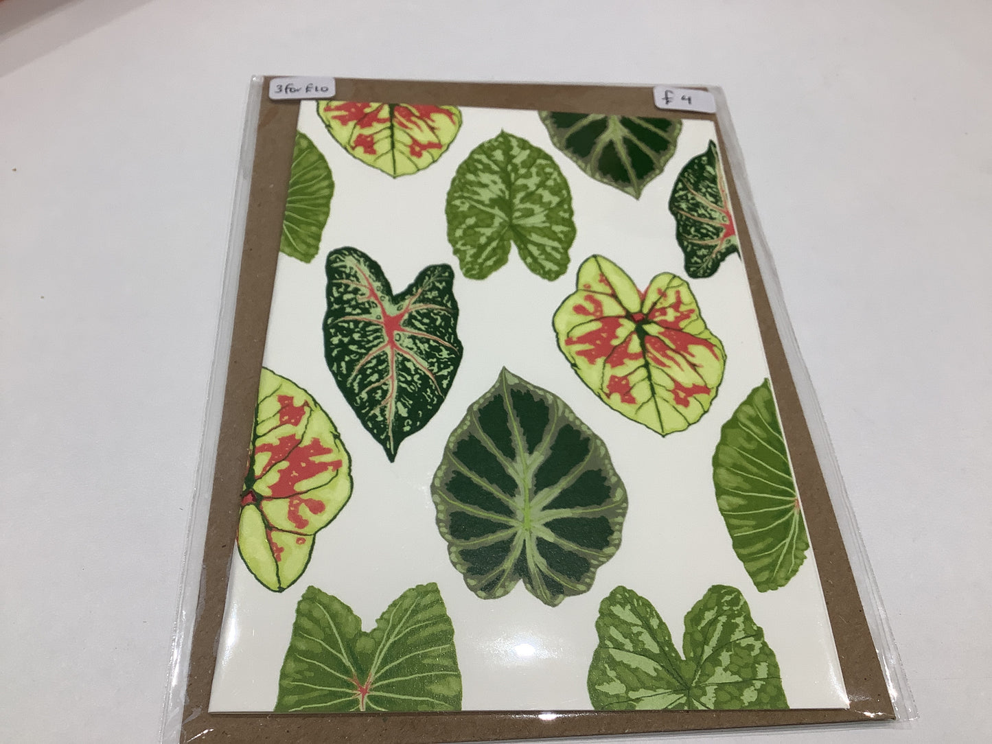 La Plante Carnivore Greeting Cards