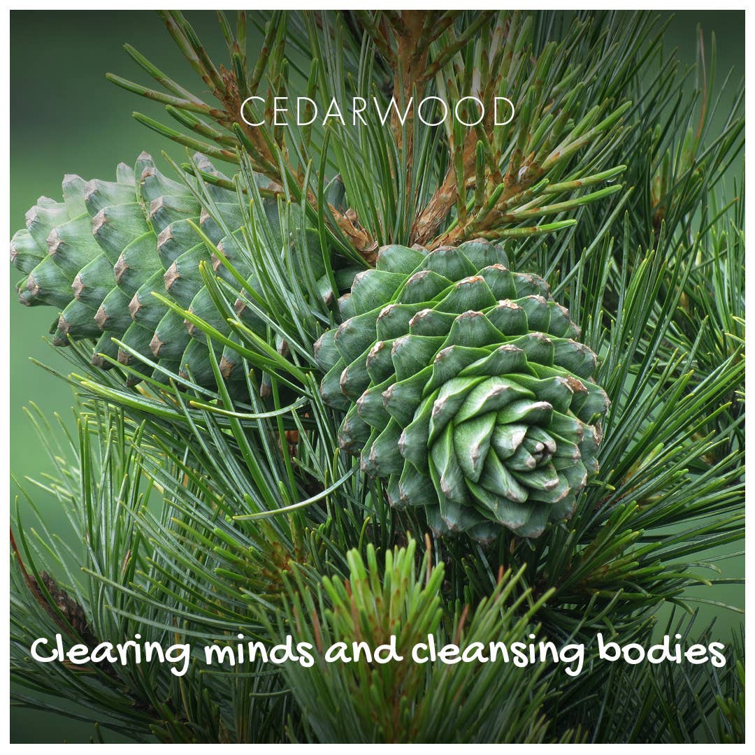 Friendly Soap natural cedarwood eco soap bar - vegan SLS-free and plastic-free