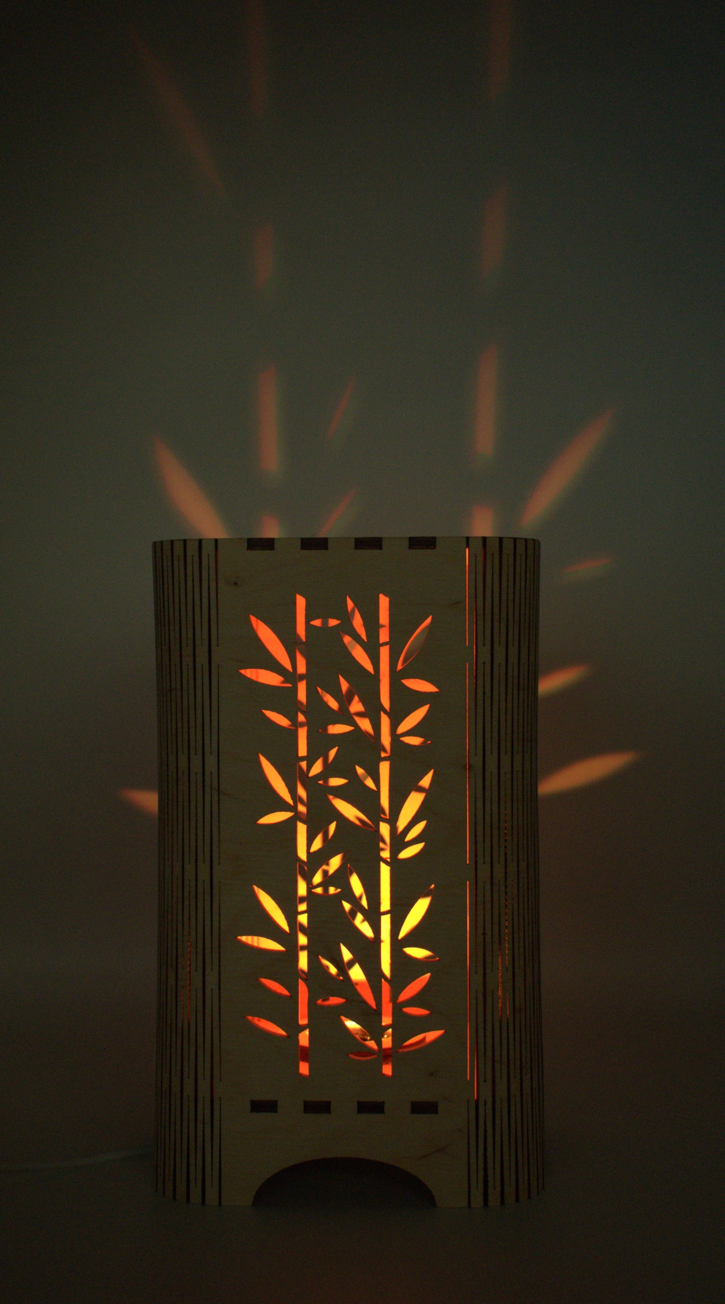 LED RGB decorative wooden lamp Bamboo