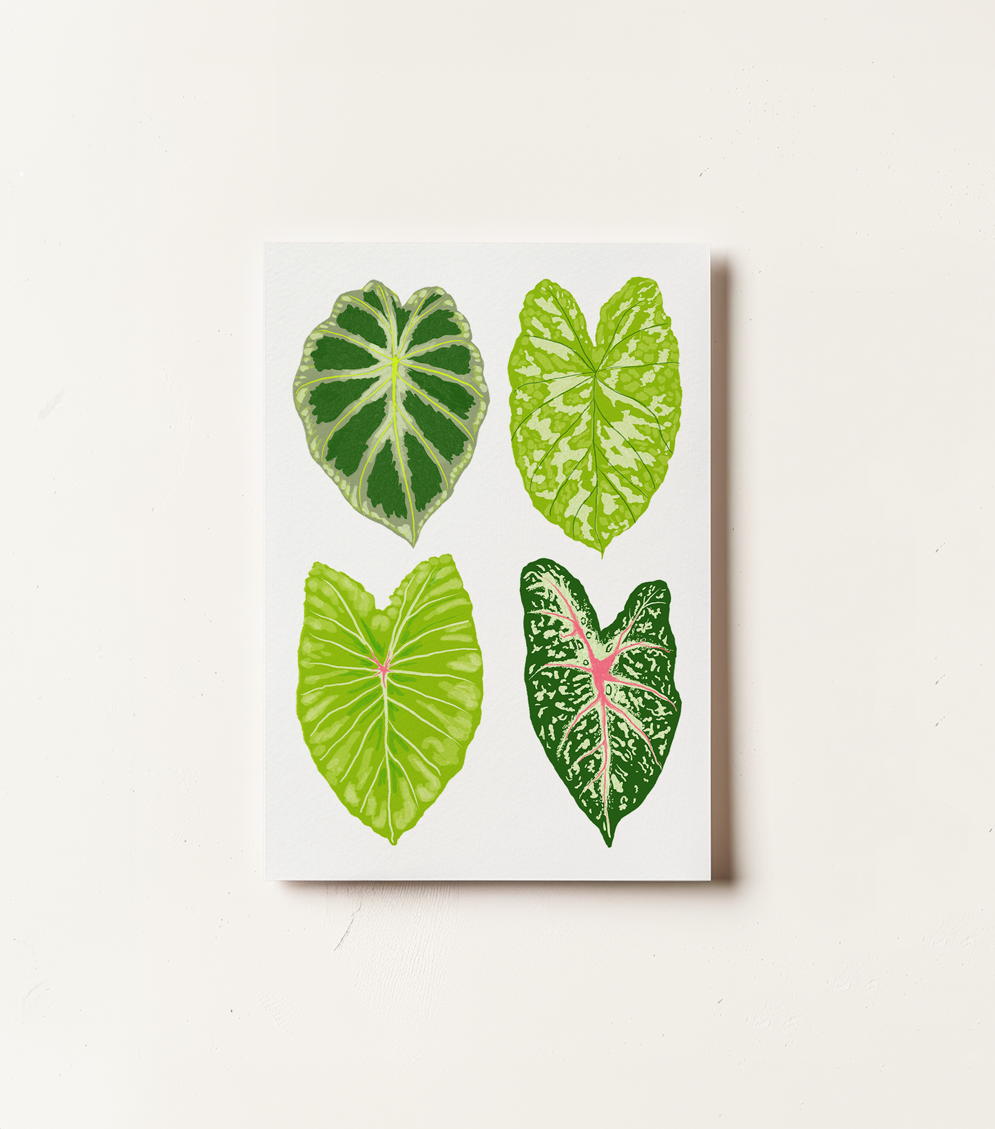 La Plante Carnivore Pocket Notebooks