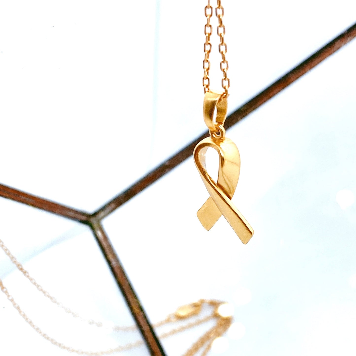 Awareness Ribbons S925 Gold-Plated Necklace