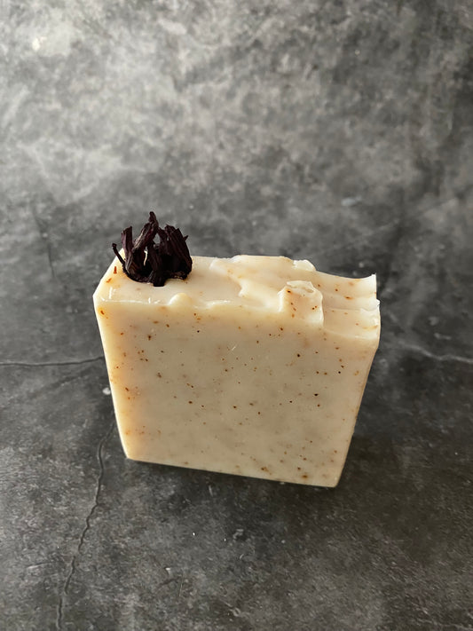 Hibiscus KI060