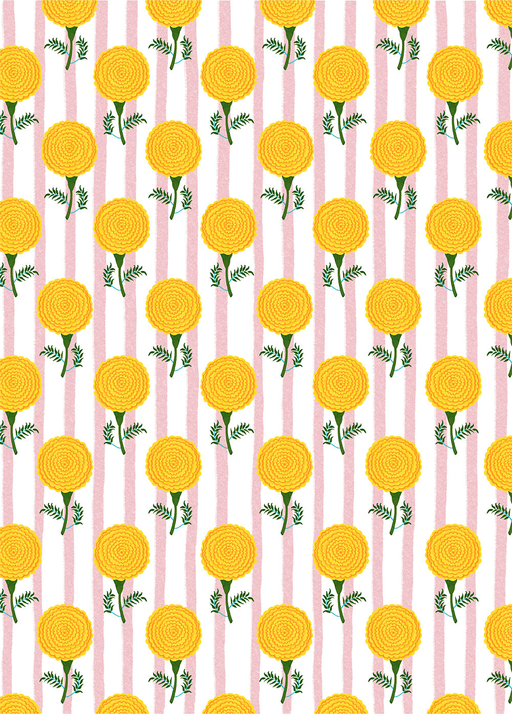 La Plante Canivore- Gift Wrap