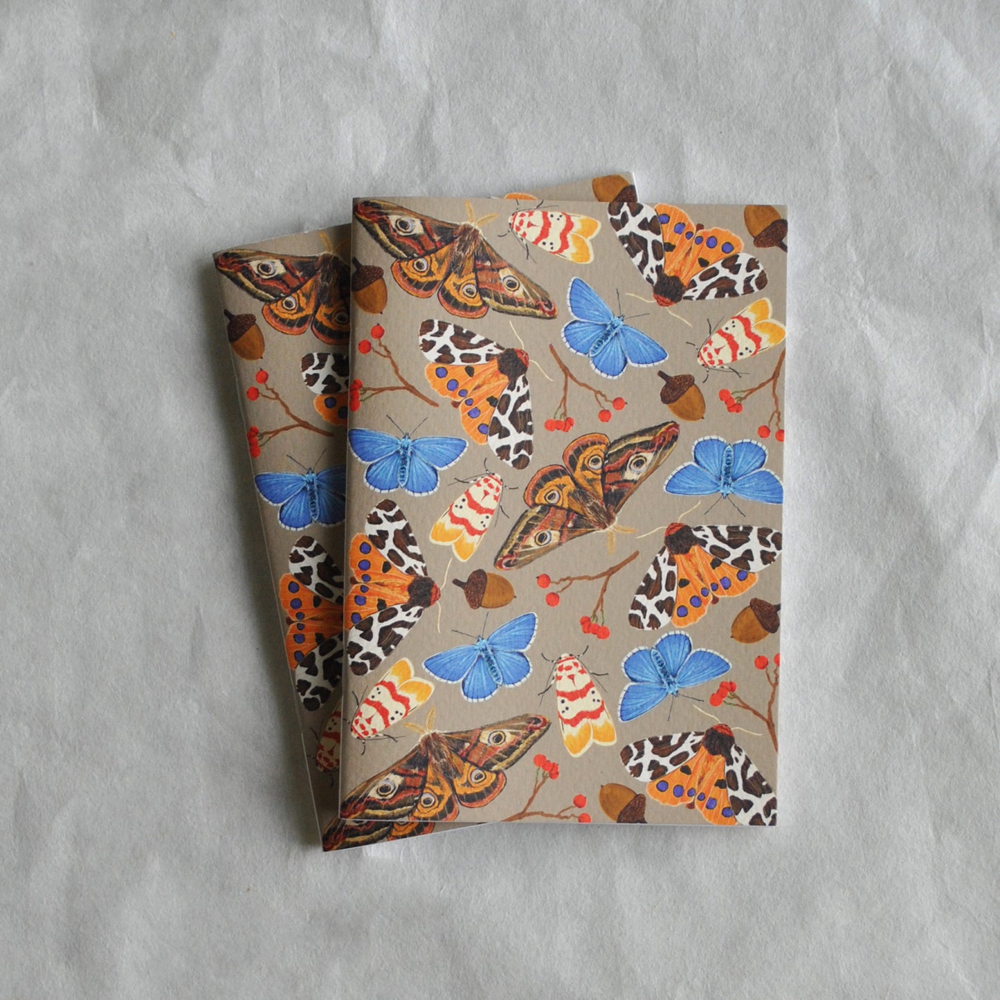 La Plante Carnivore Pocket Notebooks